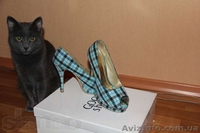 Женская обувь туфли - <ro>Изображение</ro><ru>Изображение</ru> #1, <ru>Объявление</ru> #848654