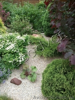 Услуги по ландшафту - <ro>Изображение</ro><ru>Изображение</ru> #3, <ru>Объявление</ru> #842953