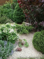 Озеленение участка - <ro>Изображение</ro><ru>Изображение</ru> #1, <ru>Объявление</ru> #844616