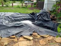 Пленка для пруда, бутилкаучуковая пленка Карлайл - <ro>Изображение</ro><ru>Изображение</ru> #3, <ru>Объявление</ru> #846222