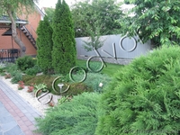 Озеленение участка - <ro>Изображение</ro><ru>Изображение</ru> #3, <ru>Объявление</ru> #844616