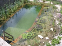 Искусственные водоемы, плавательные пруды, озера - <ro>Изображение</ro><ru>Изображение</ru> #3, <ru>Объявление</ru> #846218