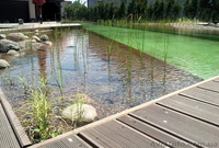 Искусственные водоемы, плавательные пруды, озера - <ro>Изображение</ro><ru>Изображение</ru> #2, <ru>Объявление</ru> #846218