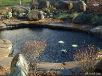 Искусственные водоемы, плавательные пруды, озера - <ro>Изображение</ro><ru>Изображение</ru> #4, <ru>Объявление</ru> #846218