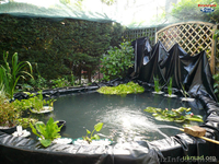 ПВХ пленка для пруда, гидроизоляция водоема - <ro>Изображение</ro><ru>Изображение</ru> #1, <ru>Объявление</ru> #846225