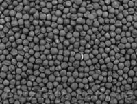 семена для посева, семена полевых и озимых культур - <ro>Изображение</ro><ru>Изображение</ru> #3, <ru>Объявление</ru> #842893