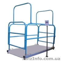 Ремонт весов электронных и механических - <ro>Изображение</ro><ru>Изображение</ru> #8, <ru>Объявление</ru> #848641