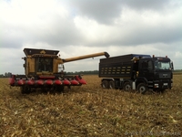 Зерновозы 25 тон и 30 тон - <ro>Изображение</ro><ru>Изображение</ru> #2, <ru>Объявление</ru> #867684