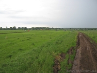 Участок в с.Осыково (жилой масив)  - <ro>Изображение</ro><ru>Изображение</ru> #3, <ru>Объявление</ru> #858142