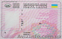 Водительское удостоверение, техпаспорт на транспортное средство  - <ro>Изображение</ro><ru>Изображение</ru> #1, <ru>Объявление</ru> #851833