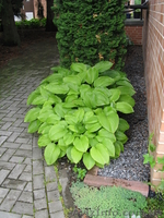 Демонтаж в квартире. - <ro>Изображение</ro><ru>Изображение</ru> #1, <ru>Объявление</ru> #883263