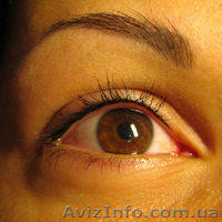 Тату мастер в Киеве Дмитрий Христич - <ro>Изображение</ro><ru>Изображение</ru> #7, <ru>Объявление</ru> #898141