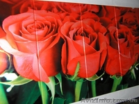 Декоративная обработка стекла/зеркала для мебельных производств. - <ro>Изображение</ro><ru>Изображение</ru> #10, <ru>Объявление</ru> #355297