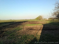 Продам дом с большим садом и огородом - <ro>Изображение</ro><ru>Изображение</ru> #8, <ru>Объявление</ru> #921795