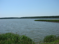 Рыбалка в Толокуне - <ro>Изображение</ro><ru>Изображение</ru> #1, <ru>Объявление</ru> #908597