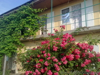 Отдых. Сдам жилье,номер, комнаты в Кирилловке - <ro>Изображение</ro><ru>Изображение</ru> #8, <ru>Объявление</ru> #898992