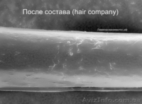 Ламинирование волос Sebastian Laminates Cellophanes Pearl Blonde жемчужный блонд - <ro>Изображение</ro><ru>Изображение</ru> #3, <ru>Объявление</ru> #913585