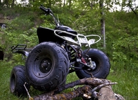 Экскурсии на квадроциклах - <ro>Изображение</ro><ru>Изображение</ru> #7, <ru>Объявление</ru> #913450