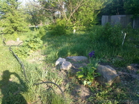 Обжитая дача Киевская область - <ro>Изображение</ro><ru>Изображение</ru> #9, <ru>Объявление</ru> #926802