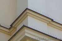 Шипы от птиц_противоприсадные иглы_средство от голубей - <ro>Изображение</ro><ru>Изображение</ru> #2, <ru>Объявление</ru> #926997