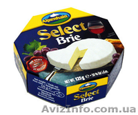 ПАН СЫРНАЯ ГОЛОВА - <ro>Изображение</ro><ru>Изображение</ru> #2, <ru>Объявление</ru> #923716