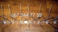Шипы от птиц_противоприсадные иглы_средство от голубей - <ro>Изображение</ro><ru>Изображение</ru> #3, <ru>Объявление</ru> #926997