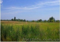 Продам 70 Га в 33 км от Киева. - <ro>Изображение</ro><ru>Изображение</ru> #1, <ru>Объявление</ru> #950540
