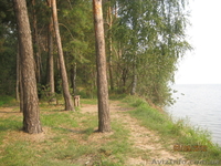 продается дача  на берегу киевского моря - <ro>Изображение</ro><ru>Изображение</ru> #7, <ru>Объявление</ru> #951631