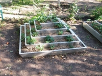 Пирамида под клубнику 5ти ярусная - <ro>Изображение</ro><ru>Изображение</ru> #2, <ru>Объявление</ru> #948194