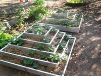 Пирамида под клубнику 5ти ярусная - <ro>Изображение</ro><ru>Изображение</ru> #1, <ru>Объявление</ru> #948194