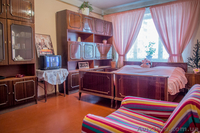 Уютная квартира  возле метро Левобережная. - <ro>Изображение</ro><ru>Изображение</ru> #1, <ru>Объявление</ru> #950235