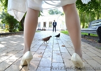 Свадебная фото и видеосъемка Full HD от 960грн! Фотосессии от250грн! - <ro>Изображение</ro><ru>Изображение</ru> #5, <ru>Объявление</ru> #946051