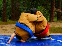 Продам аттракцин Борьба сумо - <ro>Изображение</ro><ru>Изображение</ru> #1, <ru>Объявление</ru> #965468