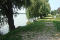 Участок земли 250 соток у озера Круглык. - <ro>Изображение</ro><ru>Изображение</ru> #2, <ru>Объявление</ru> #964728