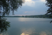 Участок земли 250 соток у озера Круглык. - <ro>Изображение</ro><ru>Изображение</ru> #6, <ru>Объявление</ru> #964728