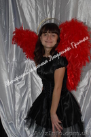 Карнавальные Костюмы Киев.Прокат, Пошив от costum.prom.ua - <ro>Изображение</ro><ru>Изображение</ru> #10, <ru>Объявление</ru> #789411