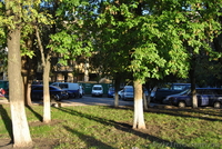 Самая большая из гостинок  - <ro>Изображение</ro><ru>Изображение</ru> #8, <ru>Объявление</ru> #963479