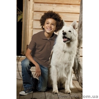 Продажа футбольк - <ro>Изображение</ro><ru>Изображение</ru> #1, <ru>Объявление</ru> #965590