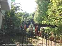 Продам 3-х комнатную квартиру Подол                   - <ro>Изображение</ro><ru>Изображение</ru> #2, <ru>Объявление</ru> #958416