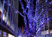 Оформление зданий гирляндами,новогоднее оформление дома,украшение фасада,окон - <ro>Изображение</ro><ru>Изображение</ru> #3, <ru>Объявление</ru> #981125