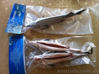  Продам рыбу,Продам рыбу речную,Продам рыбу мороженную-замороженную-свежую, - <ro>Изображение</ro><ru>Изображение</ru> #2, <ru>Объявление</ru> #971080