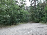 Если уж земля - то в Пуще-Водице - <ro>Изображение</ro><ru>Изображение</ru> #1, <ru>Объявление</ru> #974911