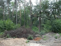 Если уж земля - то в Пуще-Водице - <ro>Изображение</ro><ru>Изображение</ru> #3, <ru>Объявление</ru> #974911