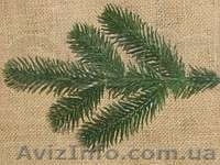 Продам искусственные ветки ели и хвои - <ro>Изображение</ro><ru>Изображение</ru> #3, <ru>Объявление</ru> #985300