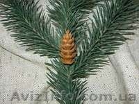 Продам искусственные ветки ели и хвои - <ro>Изображение</ro><ru>Изображение</ru> #1, <ru>Объявление</ru> #985300