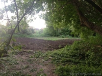 Продам земельный участок в с. Гореничи, Киевская область  - <ro>Изображение</ro><ru>Изображение</ru> #1, <ru>Объявление</ru> #978258