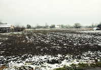 Ухоженный участок под постройку и посадку! - <ro>Изображение</ro><ru>Изображение</ru> #1, <ru>Объявление</ru> #972584