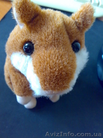 Говорящий хомяк+Бесплатная доставка+Подарок - <ro>Изображение</ro><ru>Изображение</ru> #2, <ru>Объявление</ru> #972262