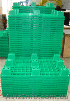 Пластиковые поддоны (паллеты) 1200*1000 - <ro>Изображение</ro><ru>Изображение</ru> #1, <ru>Объявление</ru> #979589