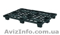Пластиковые ящики,поддоны,контейнеры - <ro>Изображение</ro><ru>Изображение</ru> #4, <ru>Объявление</ru> #971956